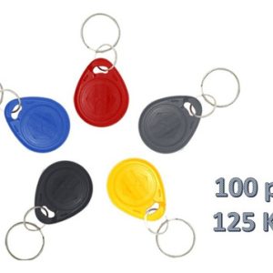 Paquete De 100 Llaveros  Identificacion  Acceso Rfid  125khz TK1040